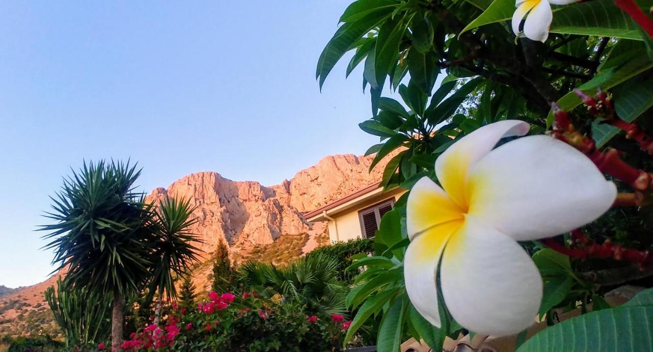 مبيت وإفطار شينيسي Ciuri Ri Zagara المظهر الخارجي الصورة